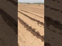 Nastro di irrigazione a goccia